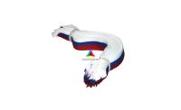 Лента триколор шириной 2,4 см